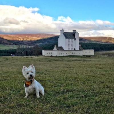 Planning a road trip in Scotland? Here's why you should visit Aberdeenshire