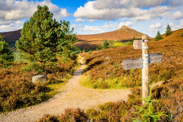 Bennachie 135 DS 12 CH Upload