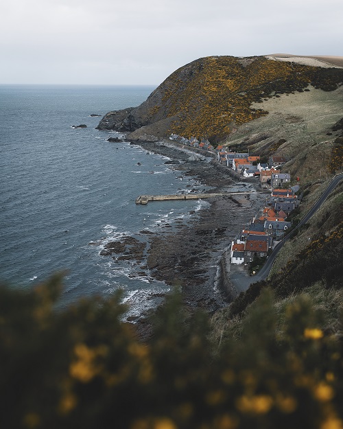 Crovie2