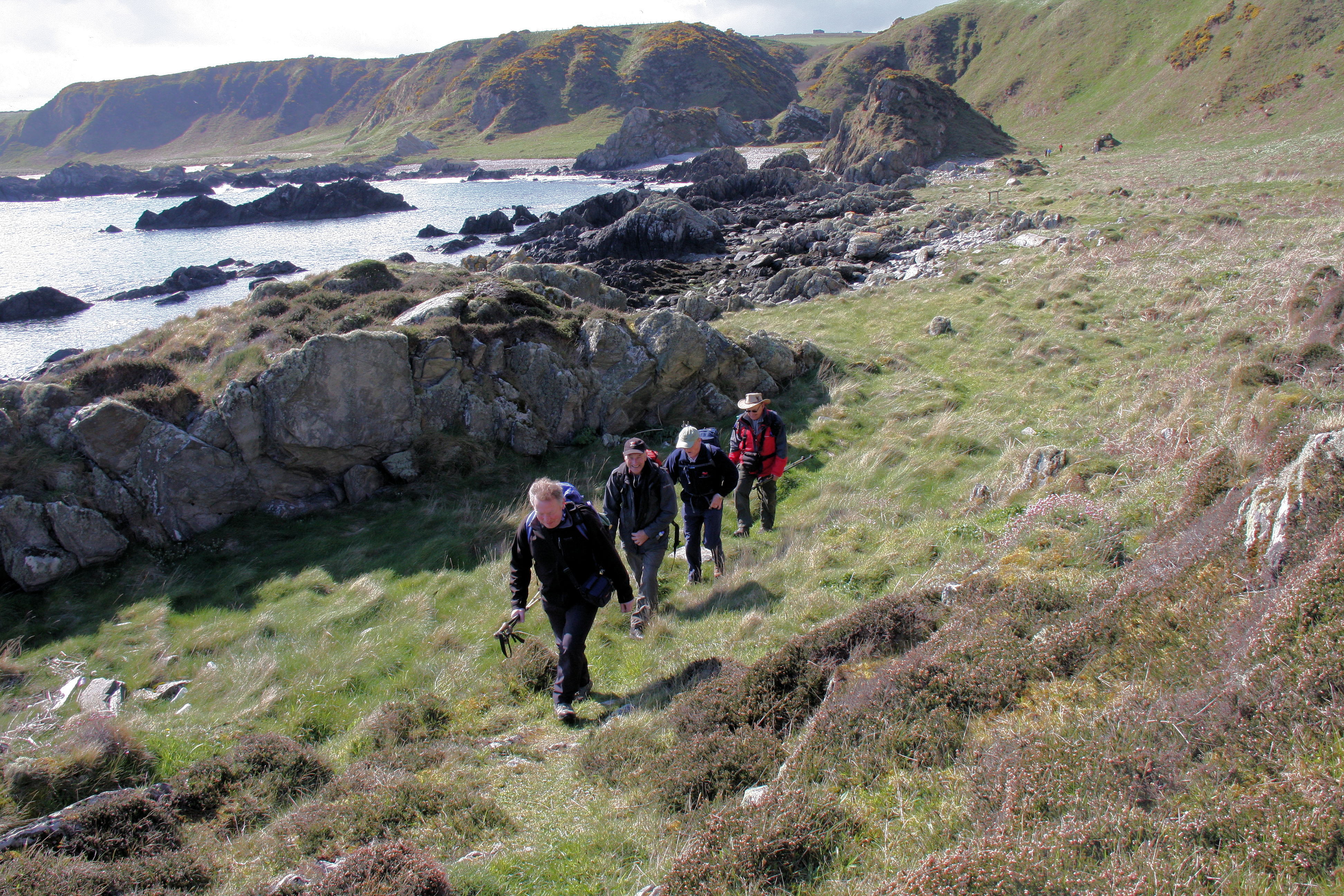 Walking 8020