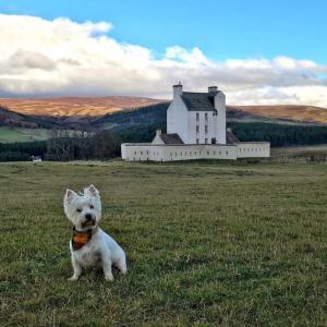 PLANNING A ROAD TRIP IN SCOTLAND? HERE'S WHY YOU SHOULD VISIT ABERDEENSHIRE