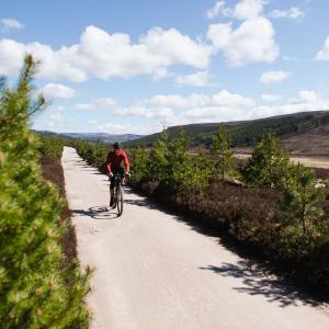 The Escape - Aberdeenshire, Scotland