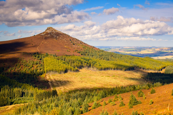 Bennachie2