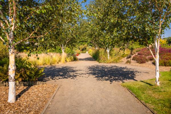 Duthie Park 72