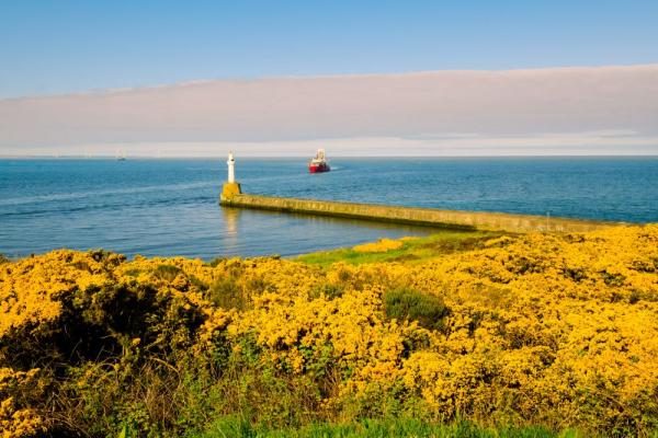 Greyhope and Torry 127 of 184