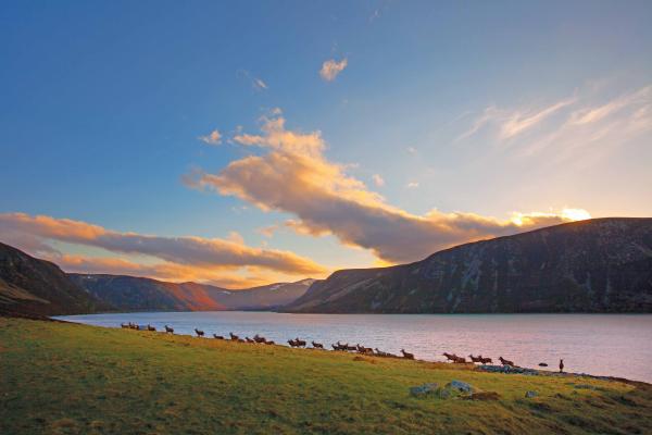 LOCH MUICK SCOTLAND IMG 8441 low res2