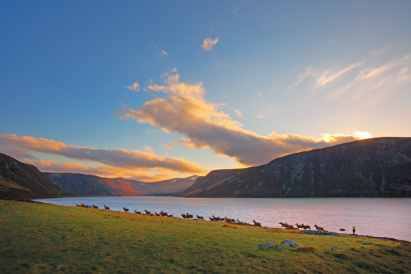 LOCH MUICK SCOTLAND IMG social