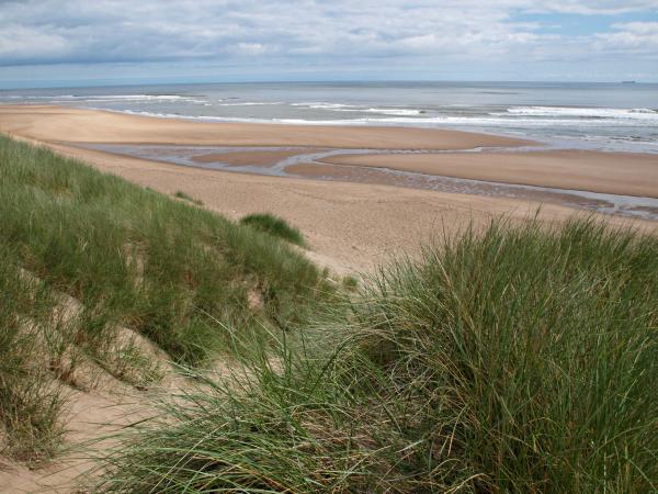 Balmedie Beach3