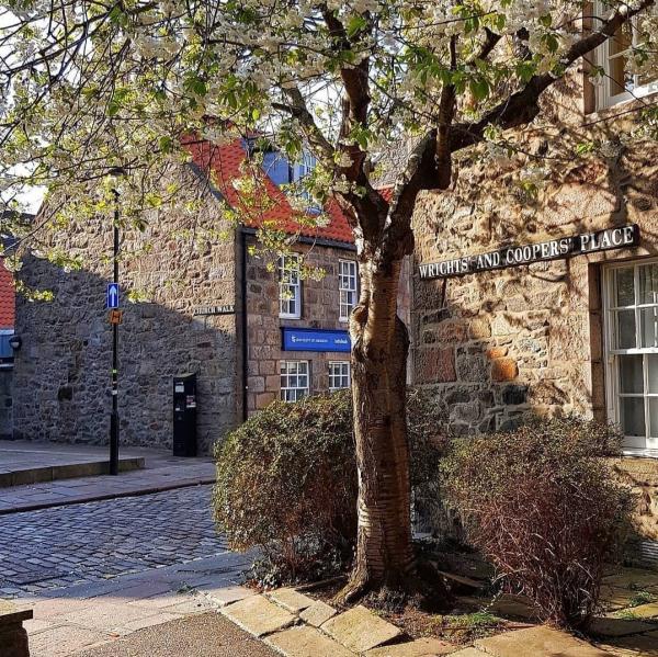 Old Aberdeen by Wandering Aberdonian DO NOT USE2