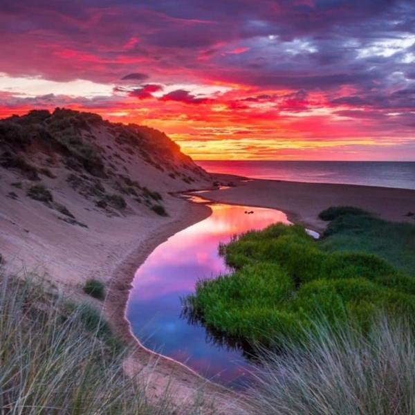 Balmedie Beach by Neil Donald DO NOT USE