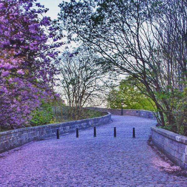 Brig o Balgownie by John Oriada DO NOT USE