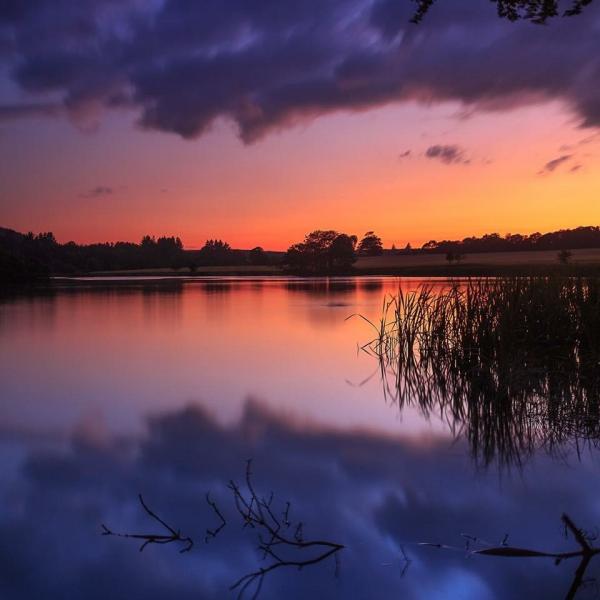 Pitfour Lake Neil Donald