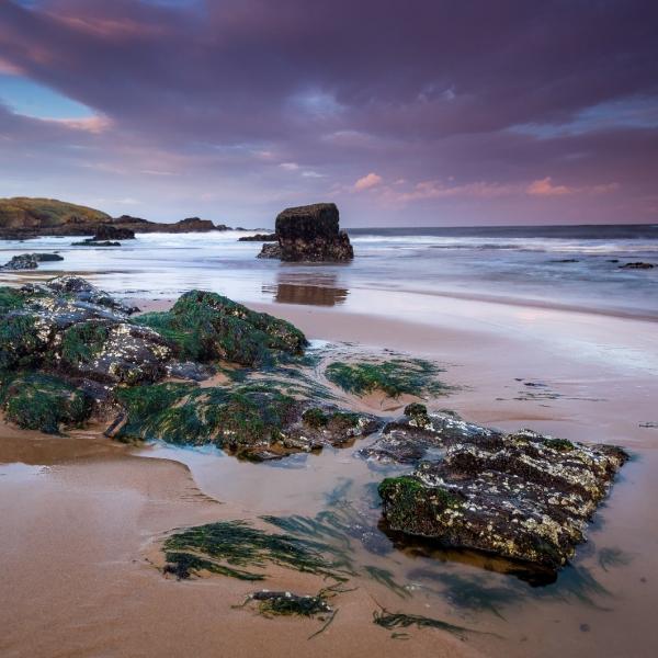 Sands of Forvie Neil Donald