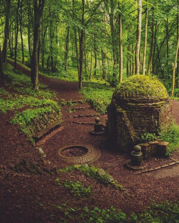 Dunnottar Woods by Natalie Ward DO NOT USE