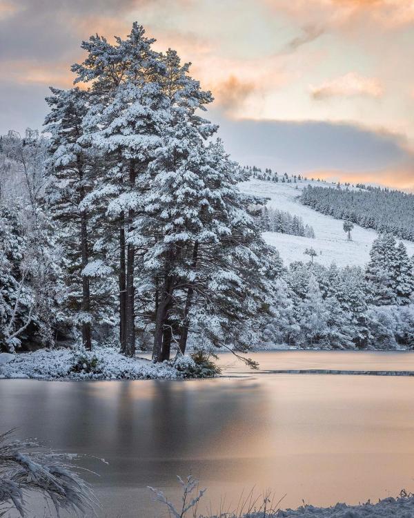 DO NOT USE Photo by Glen Tanar