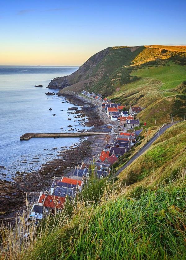 Crovie Neil Donald2