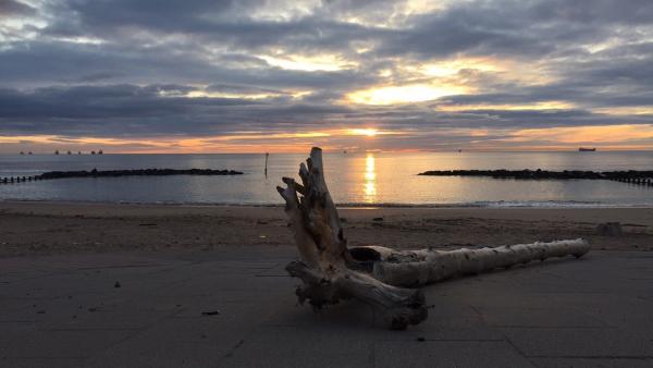 Beach photo 1