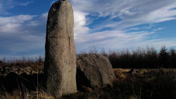 WHITEHILL