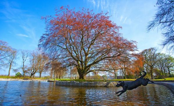 Duthie Park ow res3