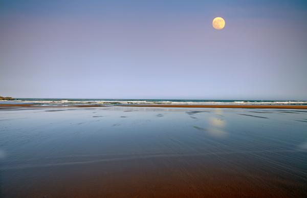 CRUDEN BAY 2013 IMG 5565