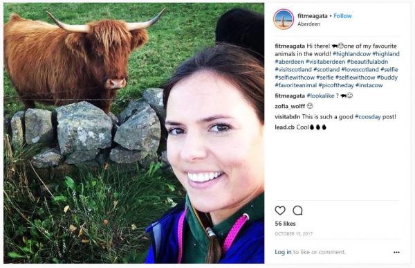 Take a Picture with the locals 1 Highland Cow
