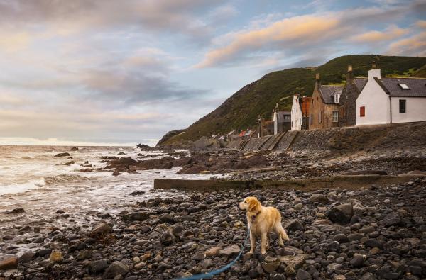 FOR VA USE ONLY Banffshire Coast Crovie. low res edit