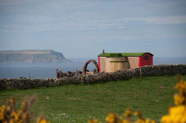 Hobbit Homes 167