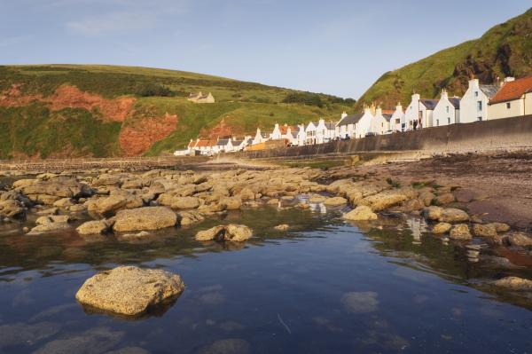 pennan3 small social3
