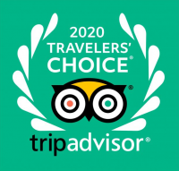 TripAdvisor Travelers Choice Logo 2020
