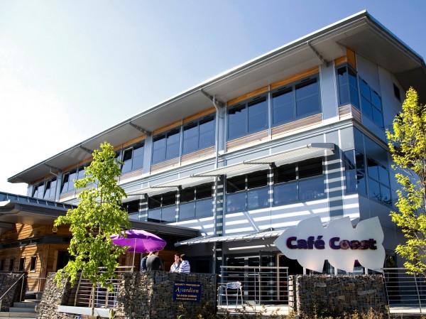 Cafe Coast3