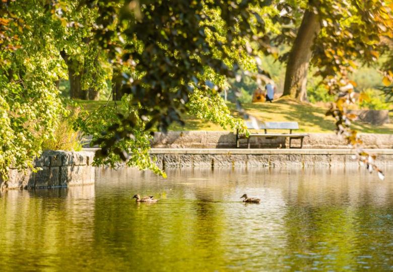 Duthie Park